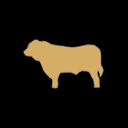 www.simmental.co.nz