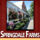 www.springdalefarms.com