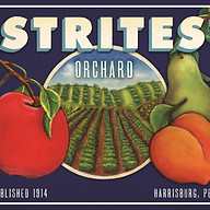 www.stritesorchard.com