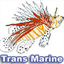 www.transmarine.de