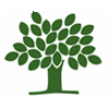 www.treecardgames.com