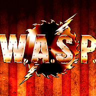www.waspnation.com