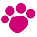 www.waysidewaifs.org