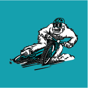 yeticycles.com
